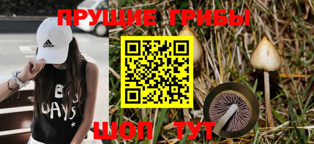 Псилоцибиновые грибы GOLDEN TEACHER Нефтекамск