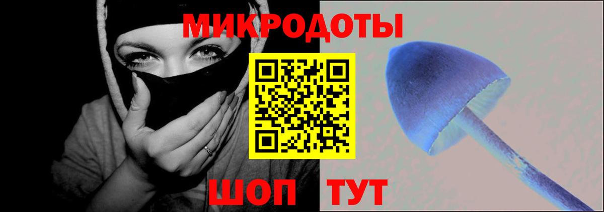 Галлюциногенные грибы Cubensis  Вход с VPN  Нефтекамск 